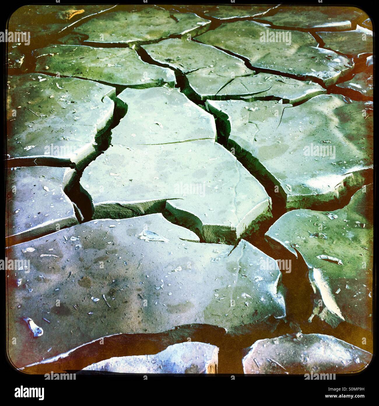 Rissige, trockene Schlamm. - Smartphone-aufgenommenes Stockfoto