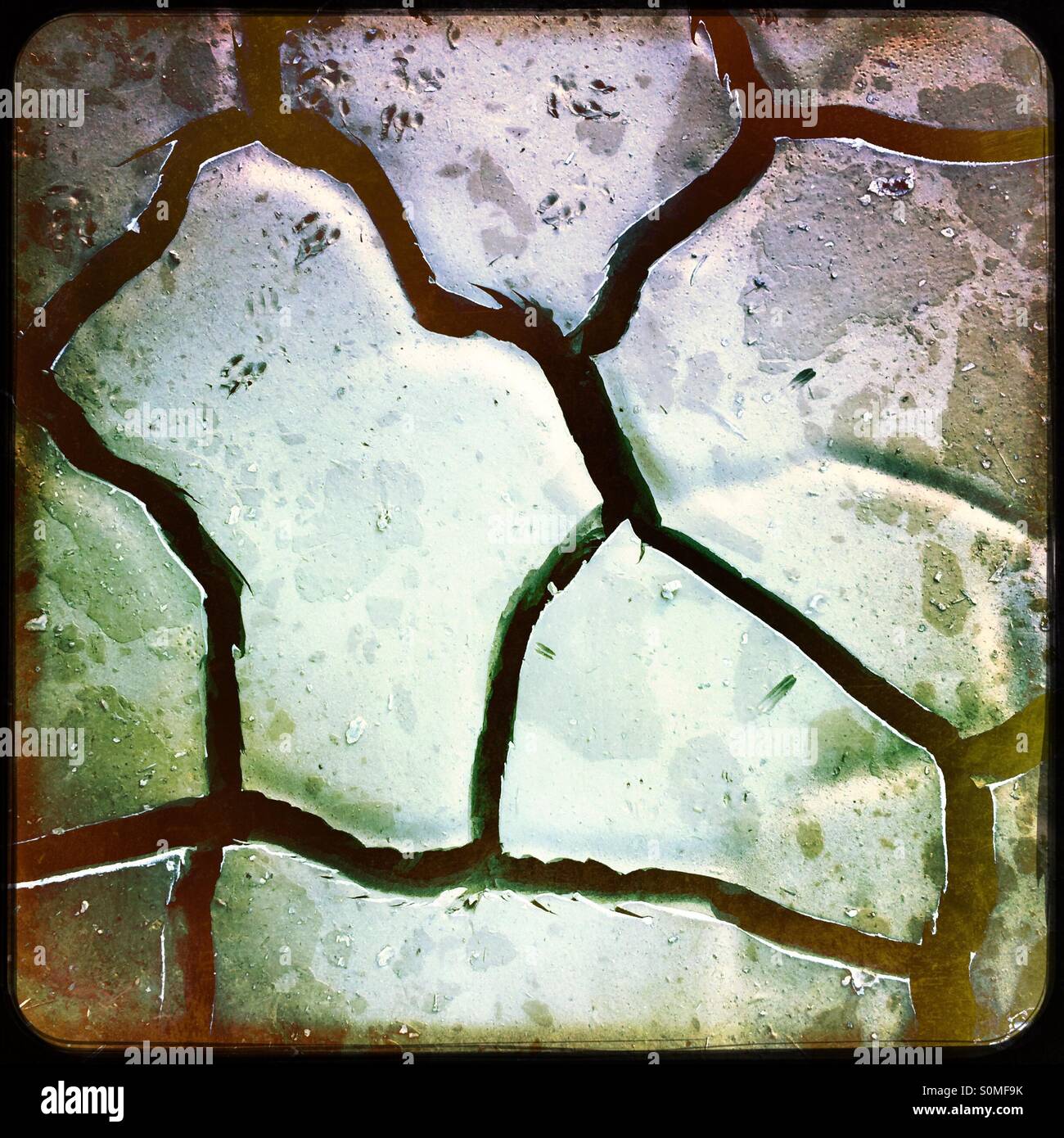 Rissige, trockene Schlamm. - Smartphone-aufgenommenes Stockfoto