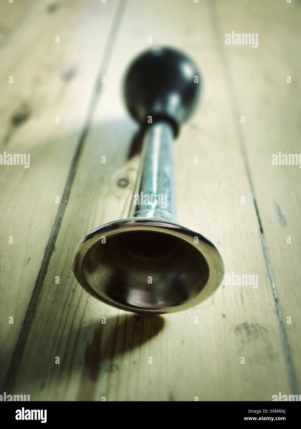 Horn auf Holzboden Stockfoto