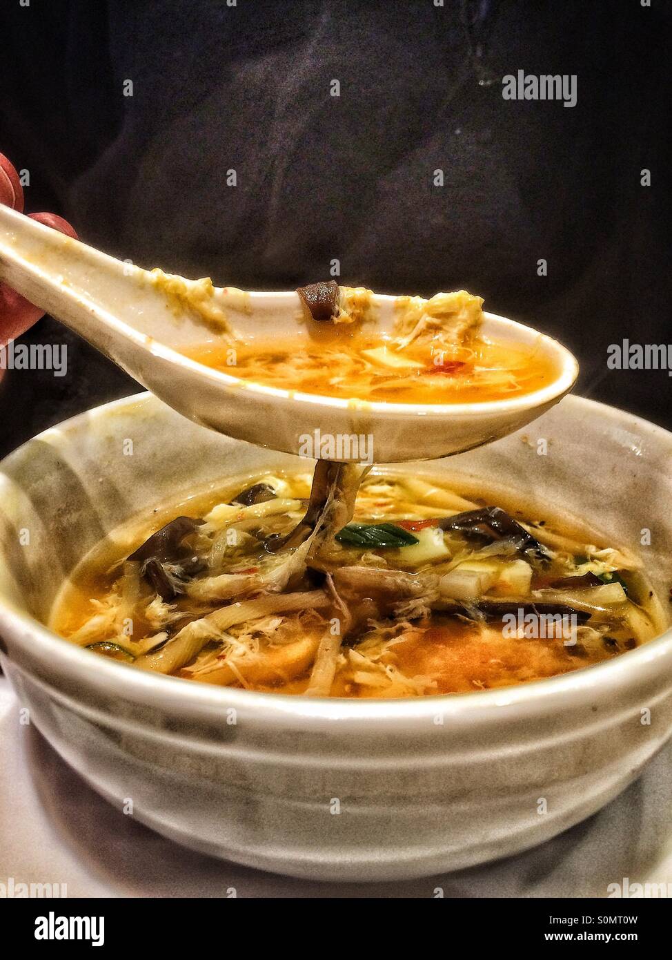 Chinesische scharf-saure Suppe Stockfoto