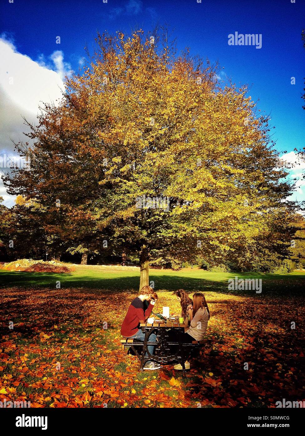 Familie Picknick im Herbst-Park Essen - Smartphone-aufgenommenes Stockfoto