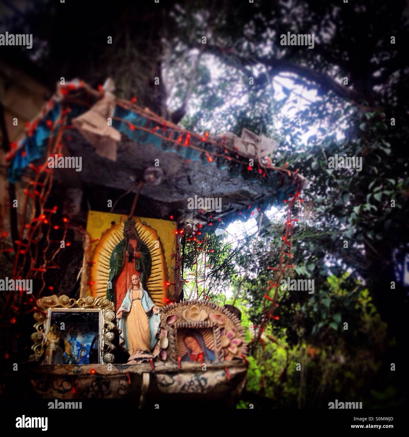 Ein Altar der Jungfrau Maria schmückt eine Straße in Colonia Roma, Mexiko-Stadt, Mexiko - Smartphone-aufgenommenes Stockfoto