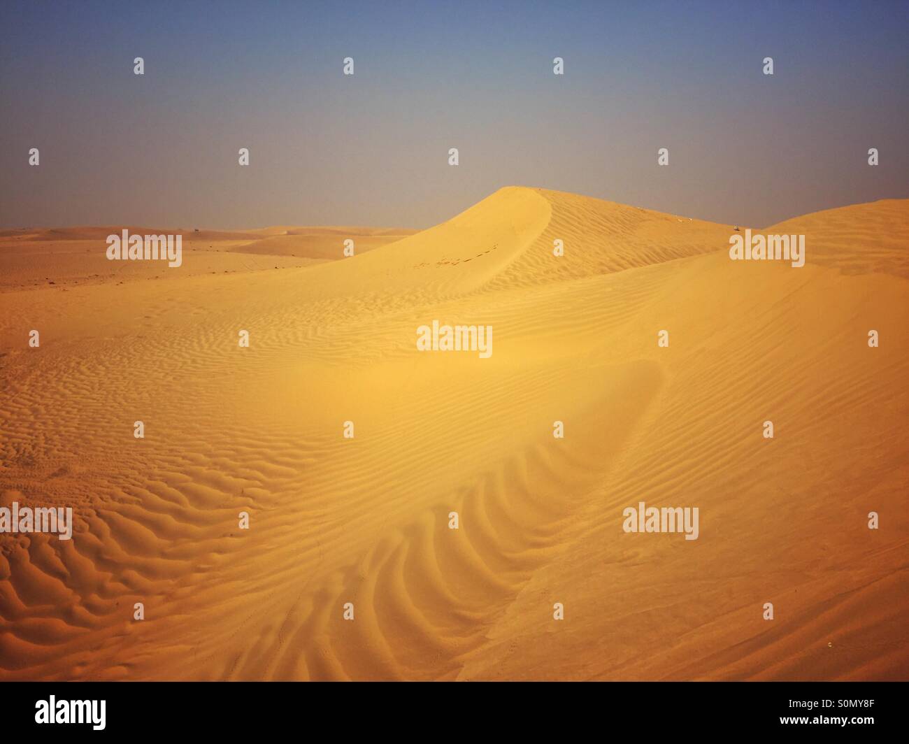 Sanddünen Al Qudra Dubai Vereinigte Arabische Emirate Stockfoto