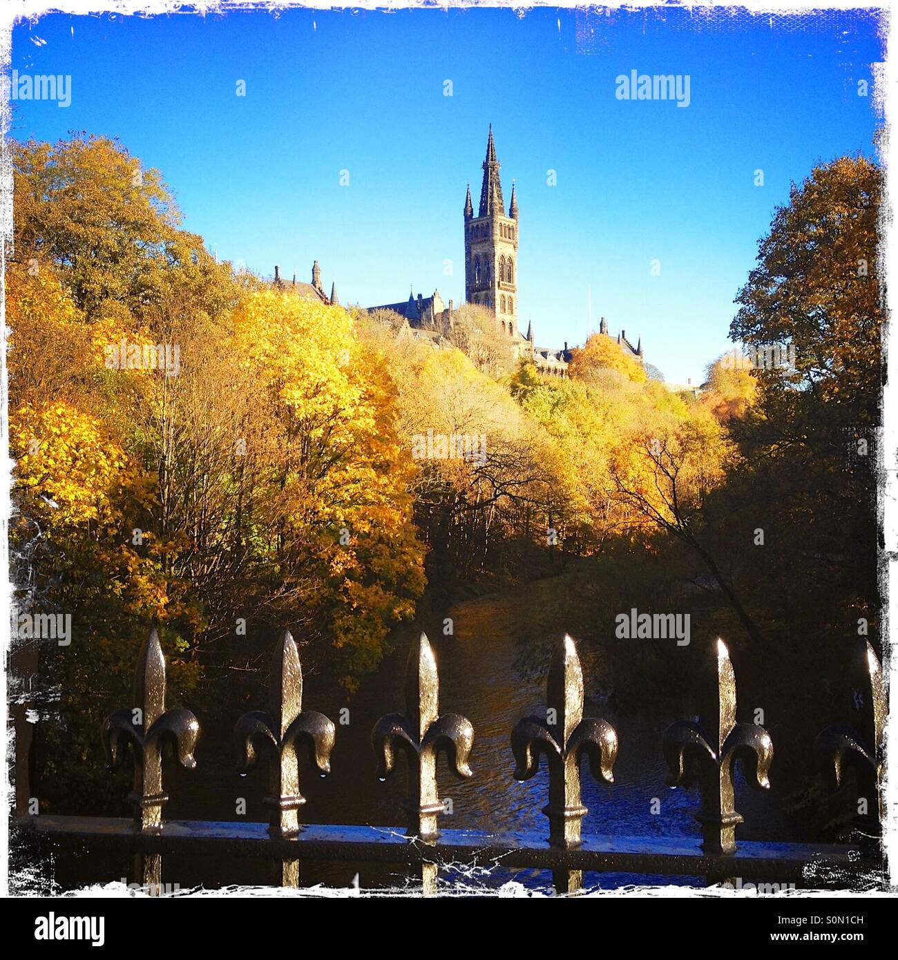 Universität Glasgow Tower mit River Kelvin, Herbst. Stockfoto