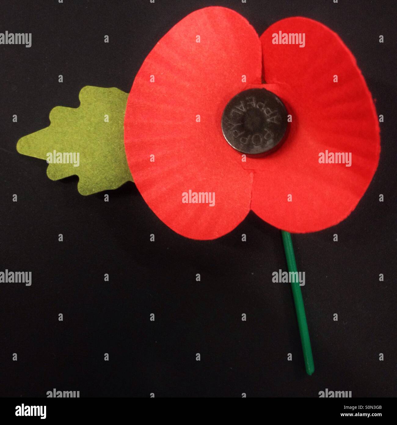 Ein Royal British Legion Papier Mohn. - Smartphone-aufgenommenes Stockfoto