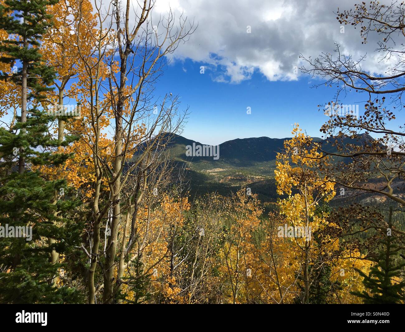 Klare, schöne Berg Herbsttag in Colorado Springs. Stockfoto