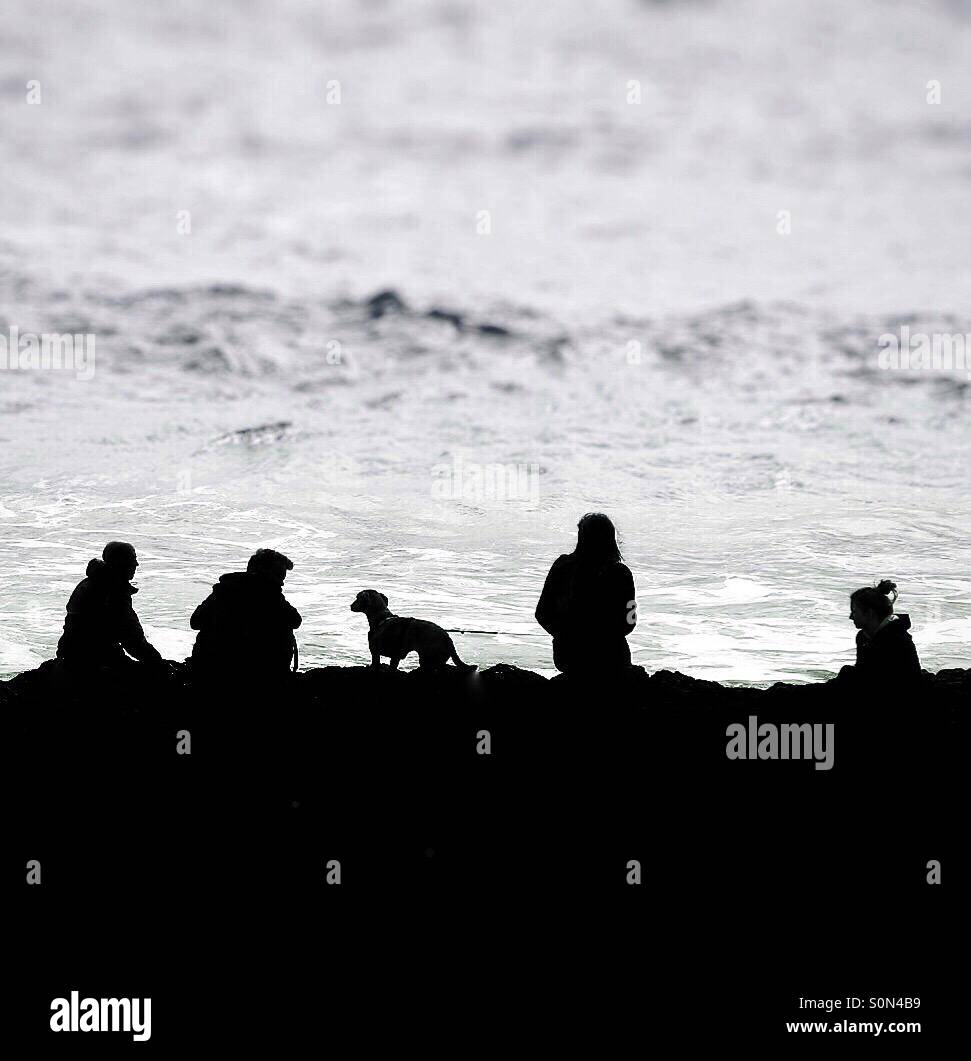 Eine Familie von vier und ihr Hund sitzen auf den Felsen am Rand eines Ozeans in der Silhouette. Stockfoto