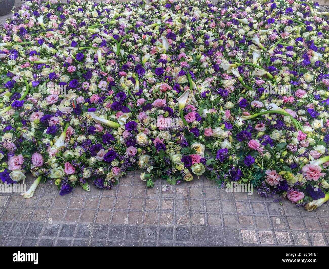 Rosen im Asphalt-Boden wie einen Teppich - Smartphone-aufgenommenes Stockfoto