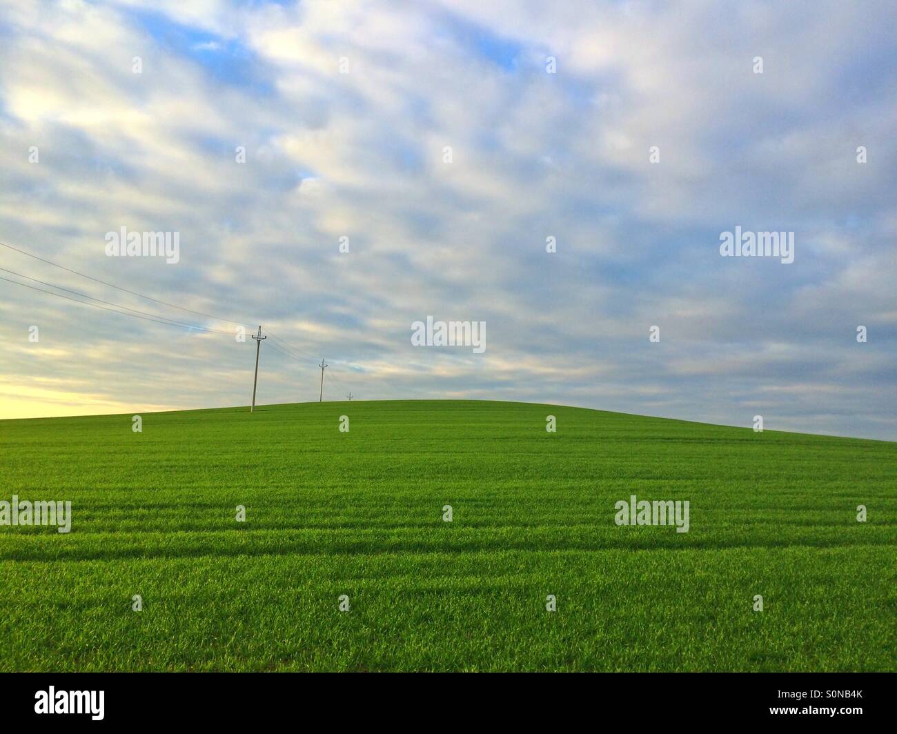 Grünen Wiese auf dem Hügel bei Sonnenuntergang - Smartphone-aufgenommenes Stockfoto