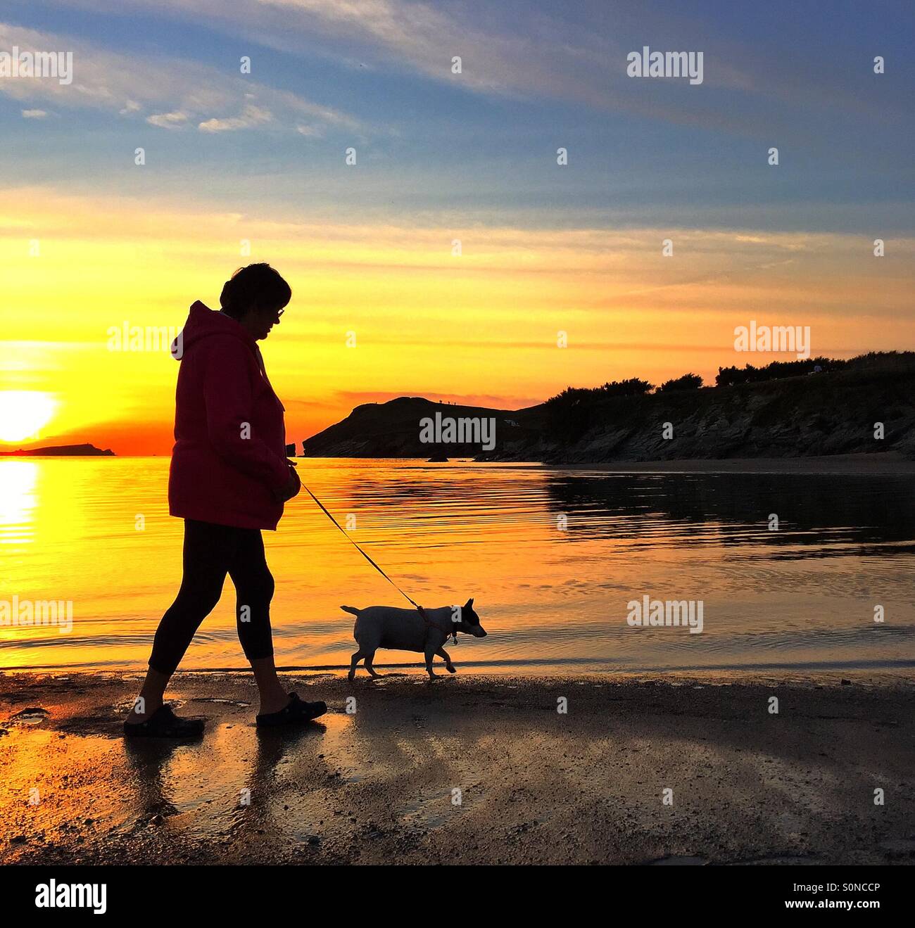 Sonnenuntergang Hund zu Fuß Stockfoto