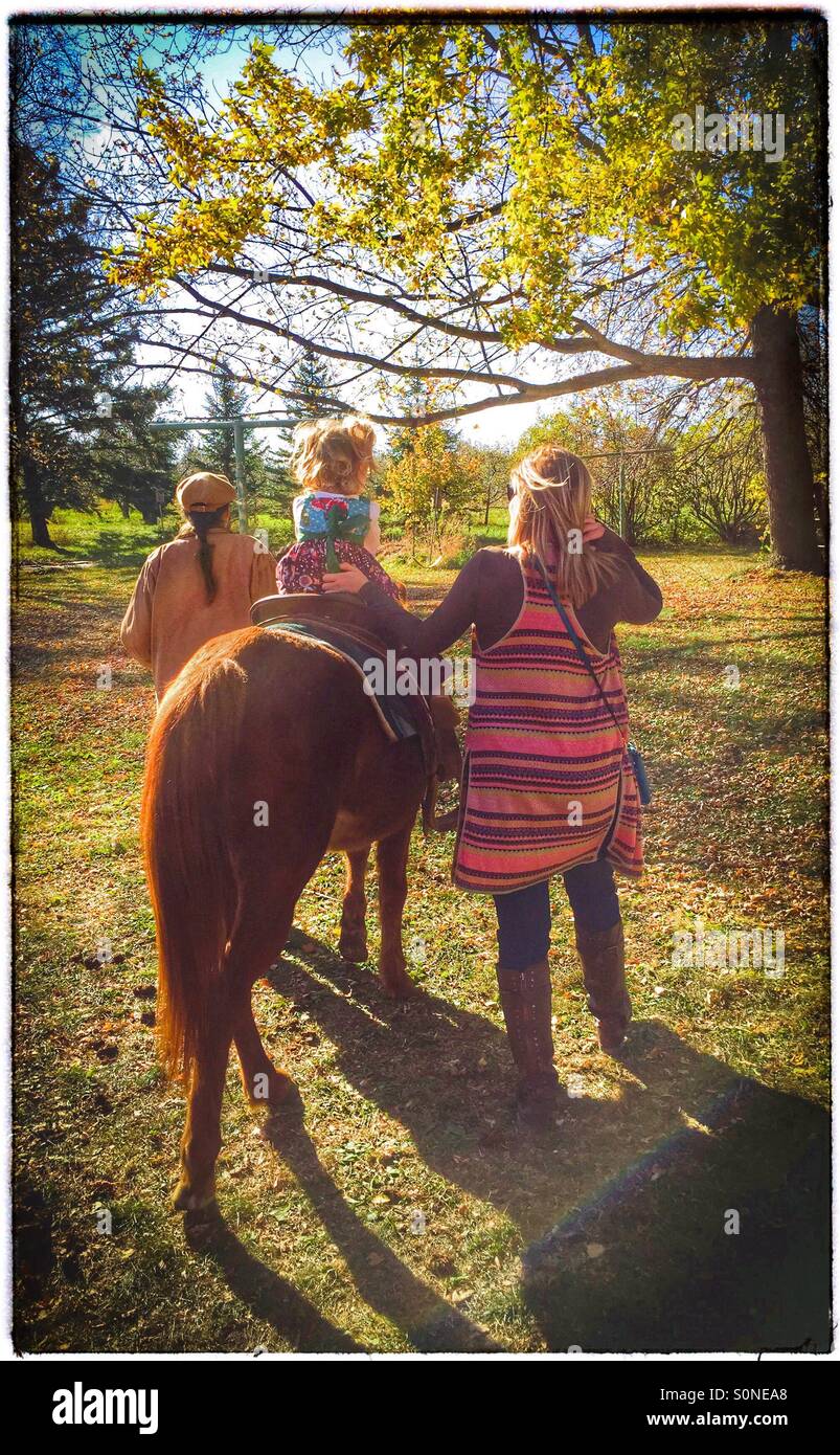 Kleines Mädchen auf einem Pferd Stockfoto