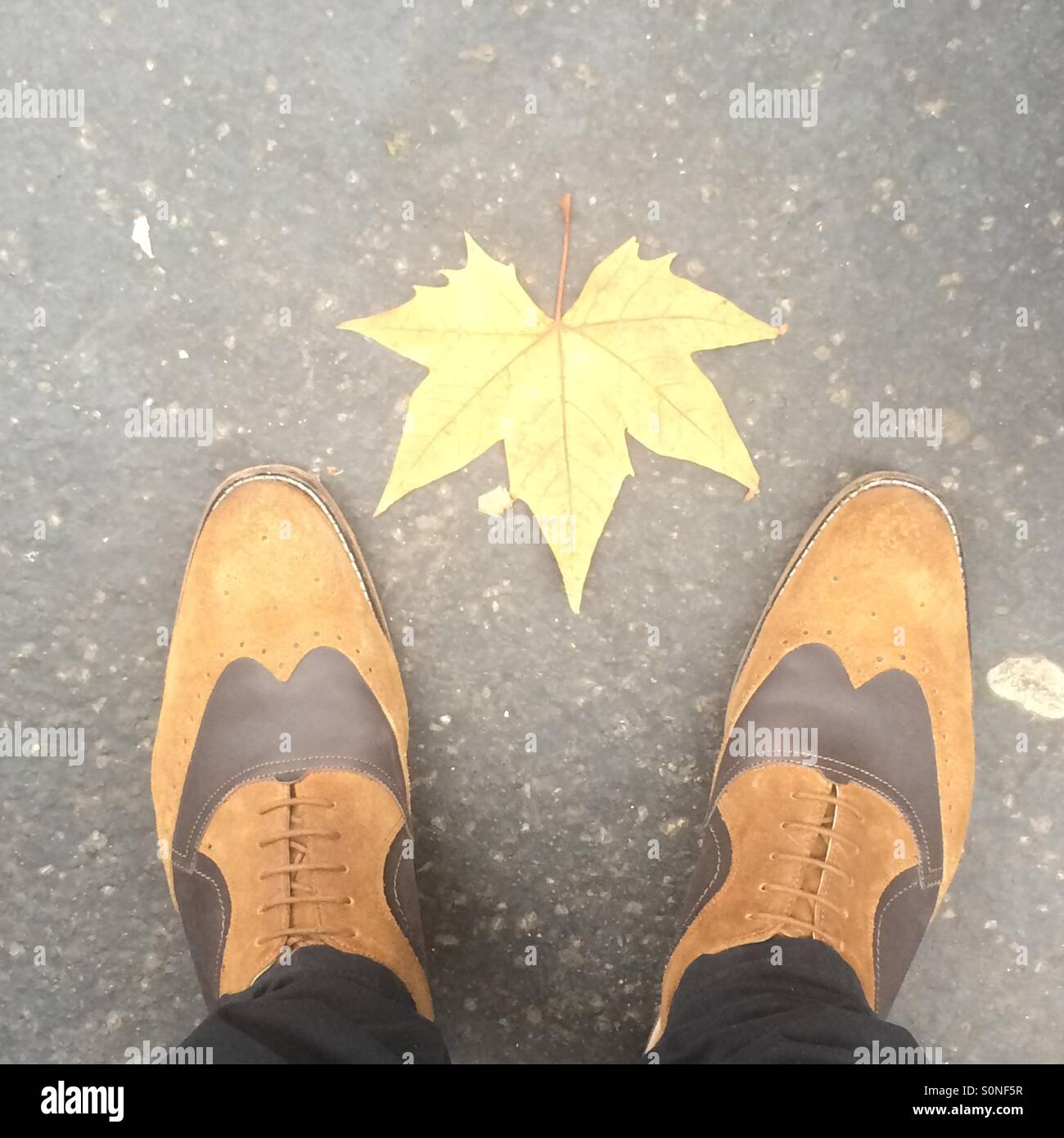 Person Brogue Schuhe stehen neben einem Herbst Blatt Stockfoto