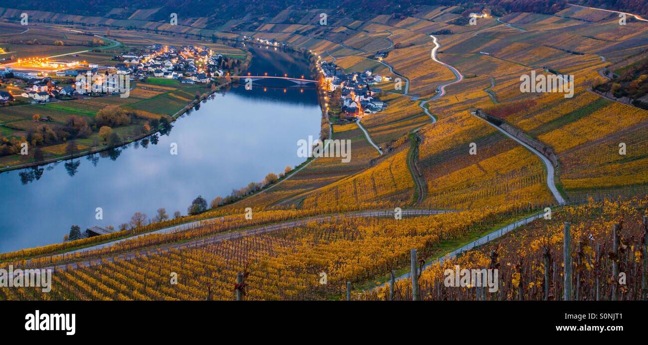 Mosel Weingut Herbst Stockfoto