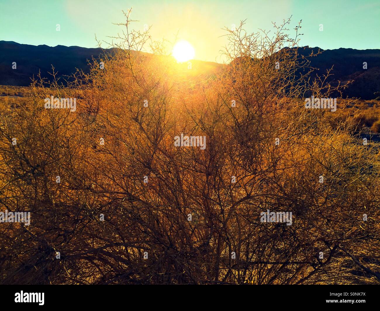 Sonnenuntergang auf der Santa Rosa Berge hinter La Quinta, Kalifornien USA - Smartphone-aufgenommenes Stockfoto