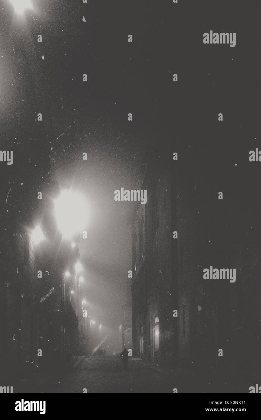 Späten Spaziergang mit Hund - Smartphone-aufgenommenes Stockfoto