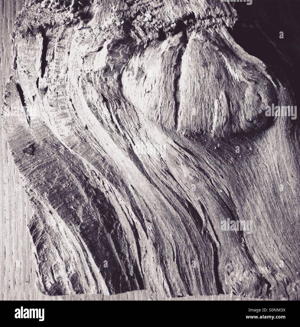 Textur: ein Stück wenn Holz in schwarz / weiß - Smartphone-aufgenommenes Stockfoto