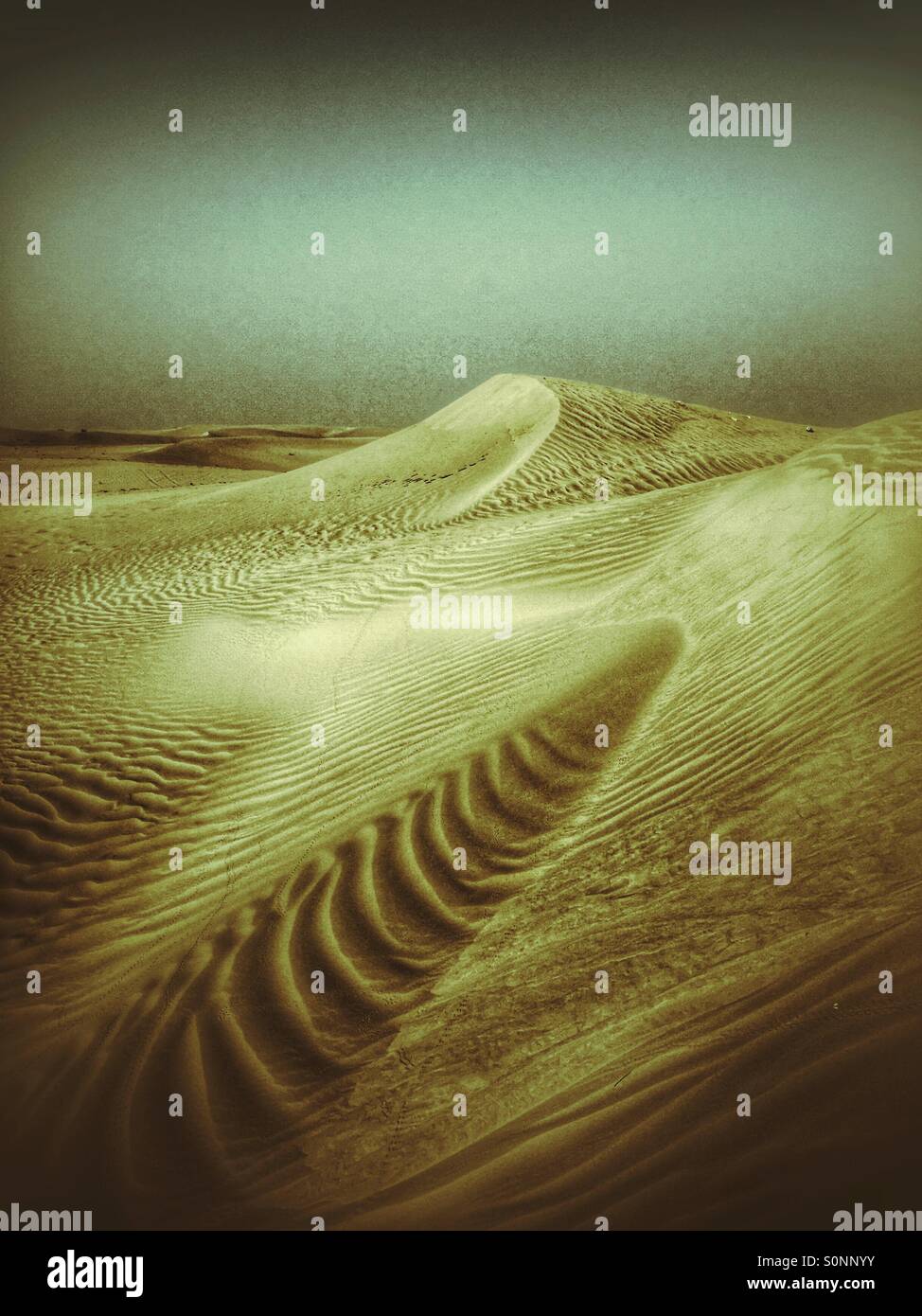 Sanddünen in Dubai UAE Stockfoto