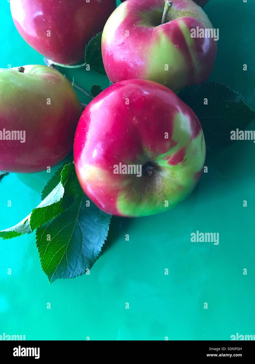 Äpfel auf grünem Hintergrund Stockfoto