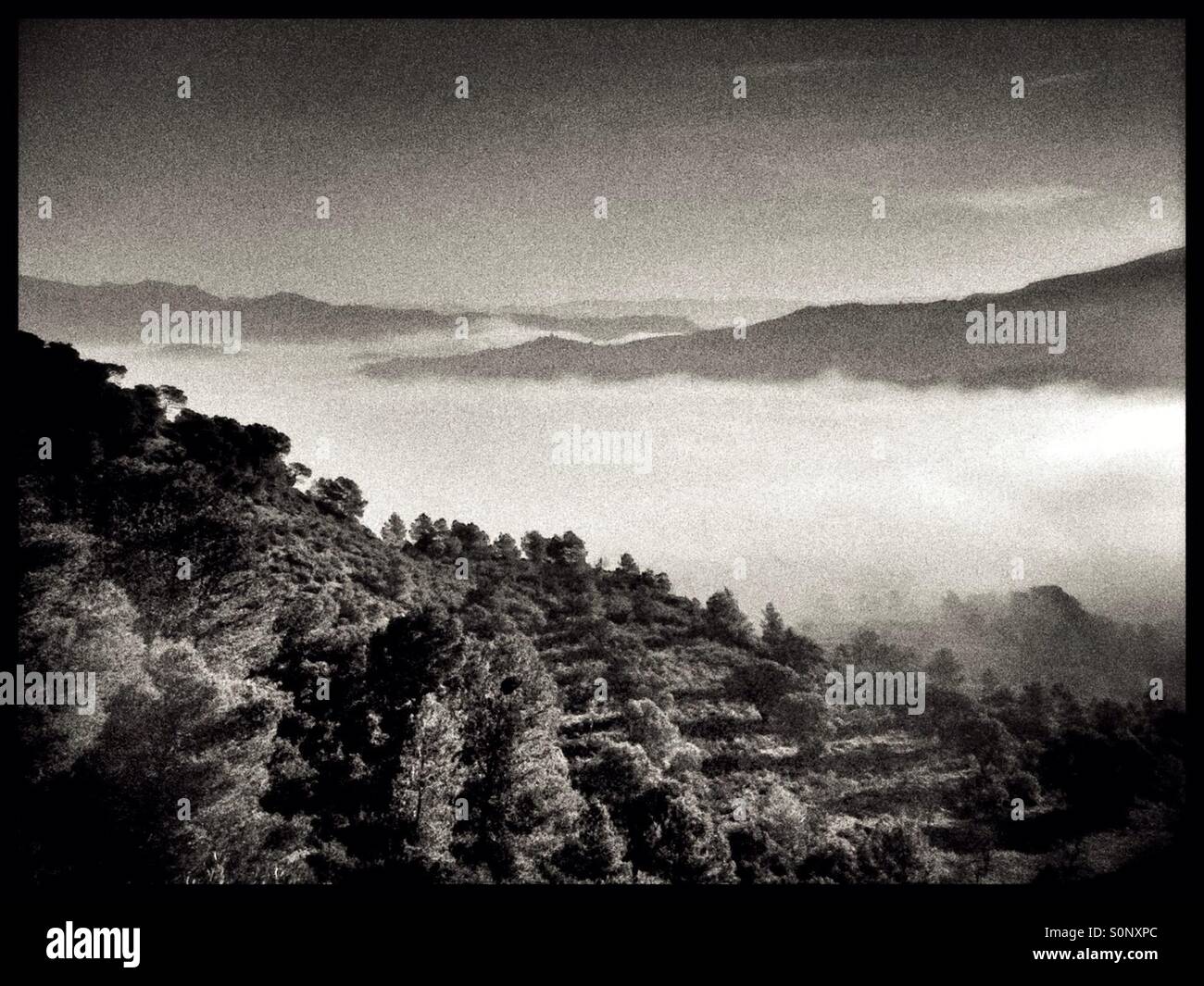 Sonnige Aussicht auf die Berge mit Nebel im Tal, Provinz Tarragona, Katalonien, Spanien. - Smartphone-aufgenommenes Stockfoto