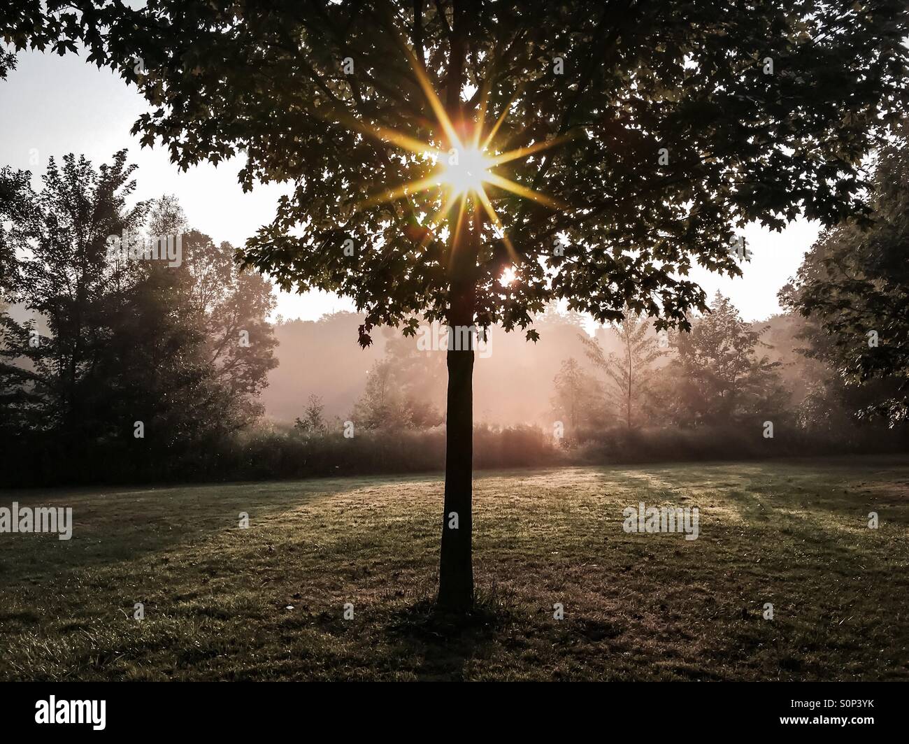 Sunrise - Smartphone-aufgenommenes Stockfoto