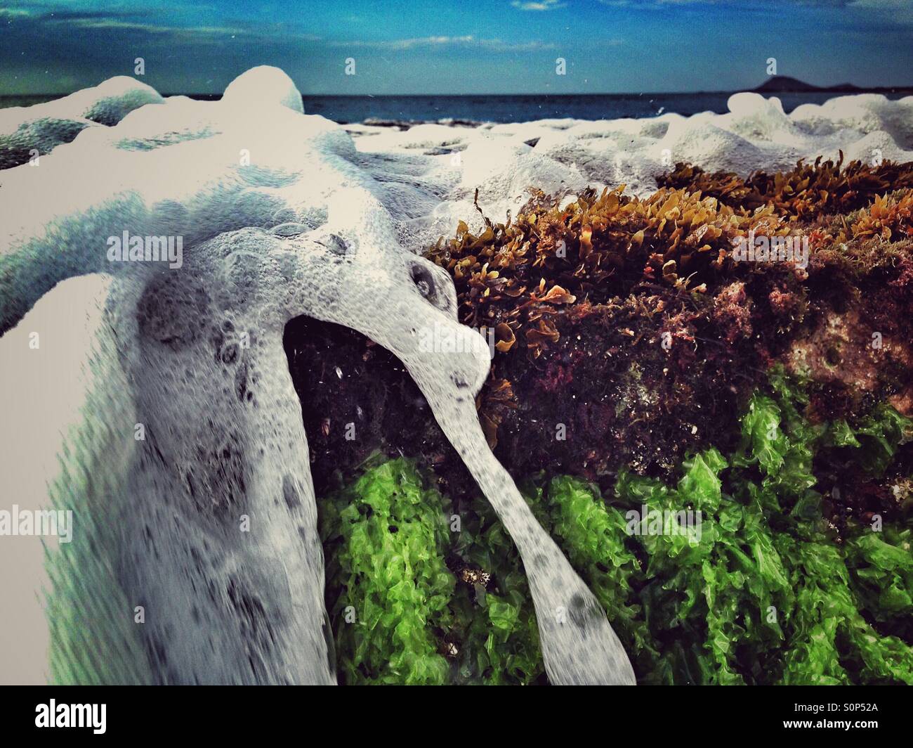 Schaum-Meerwasser Kaskadierung über Algen-Seetang - Smartphone-aufgenommenes Stockfoto