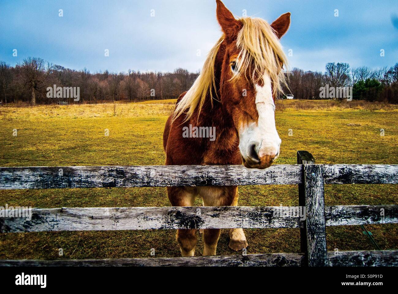Feld Erkunden Stockfotos und -bilder Kaufen - Alamy