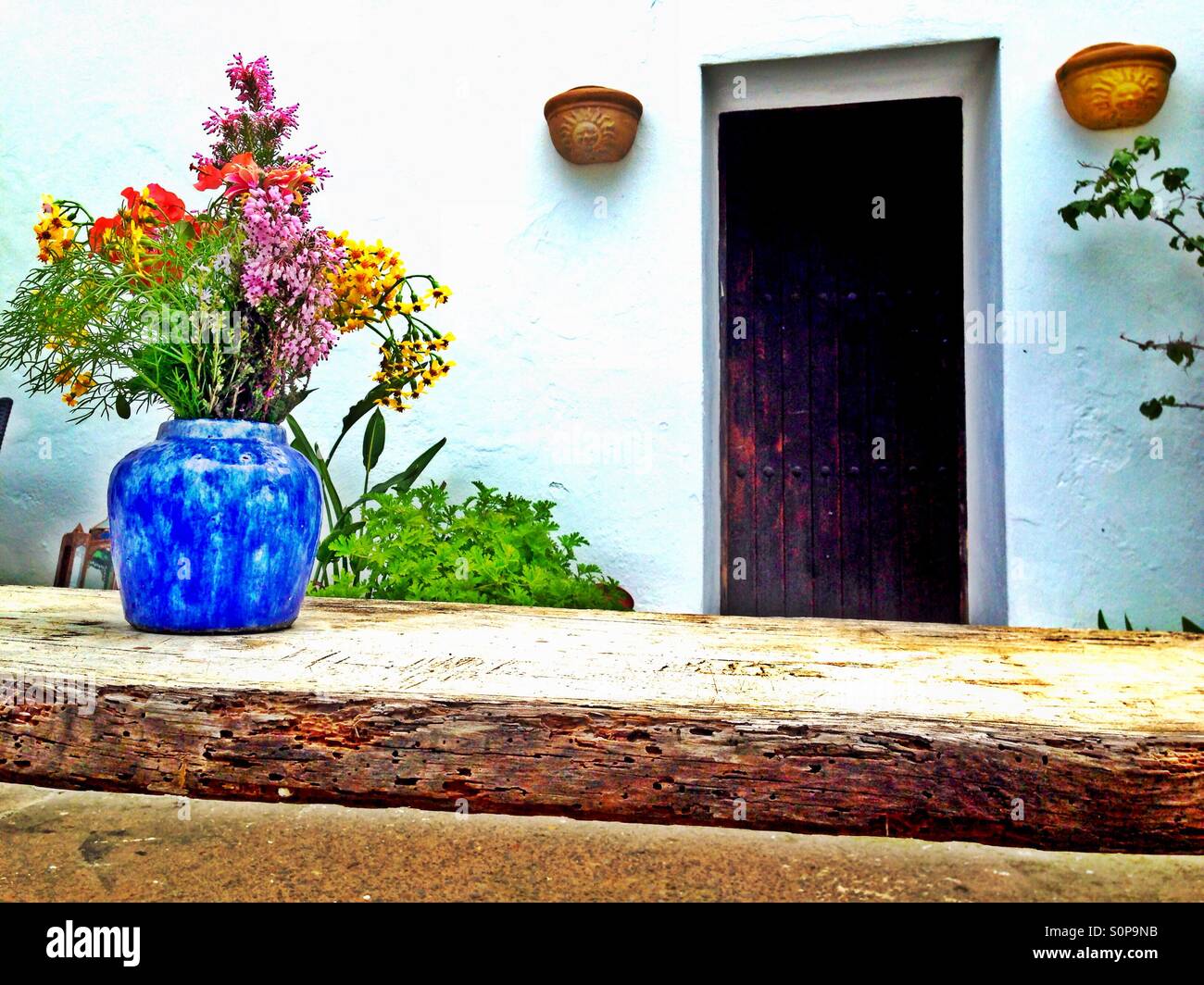 Wilde Blumen in blauer vase Stockfoto