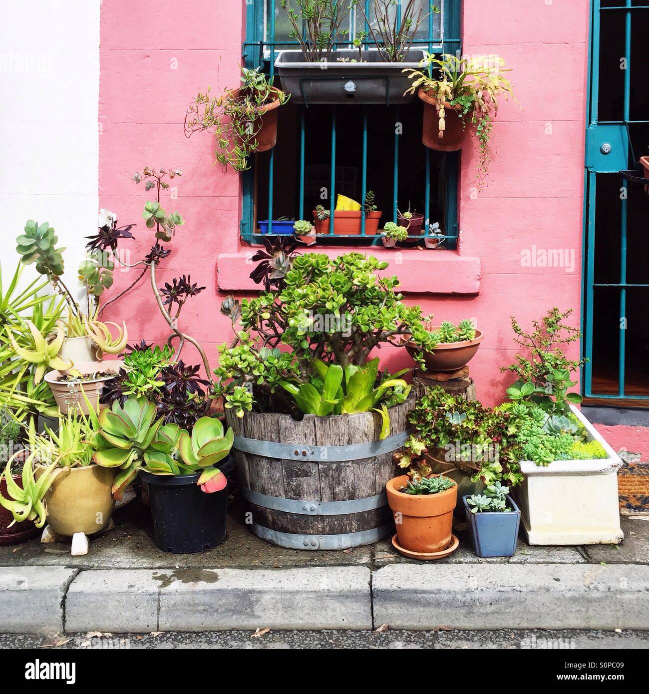 Cool Privatgarten. Stockfoto