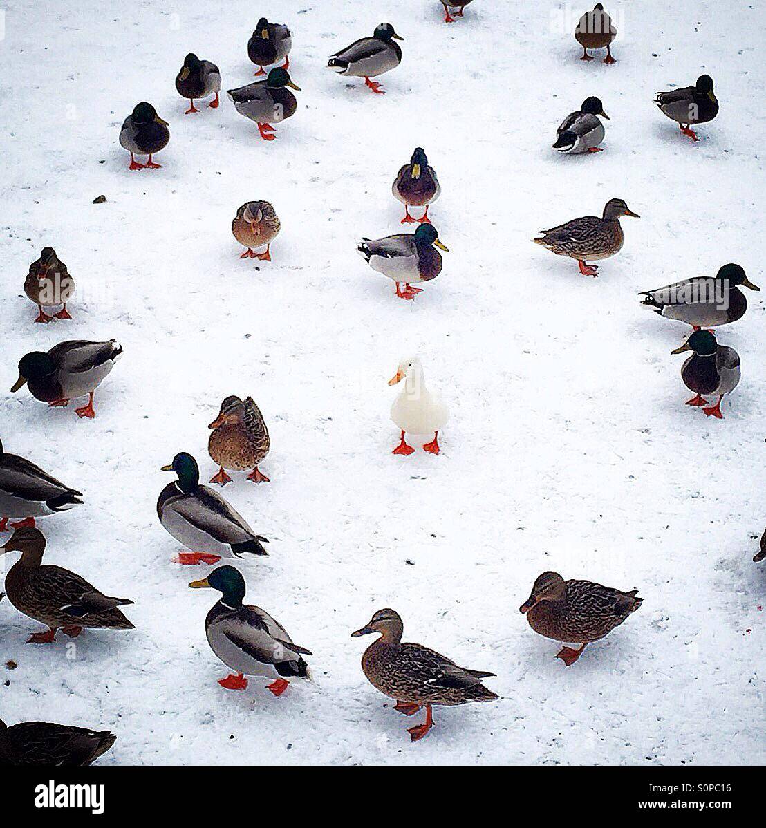 Individuell sein. Unterschiedlich sein. Stockfoto