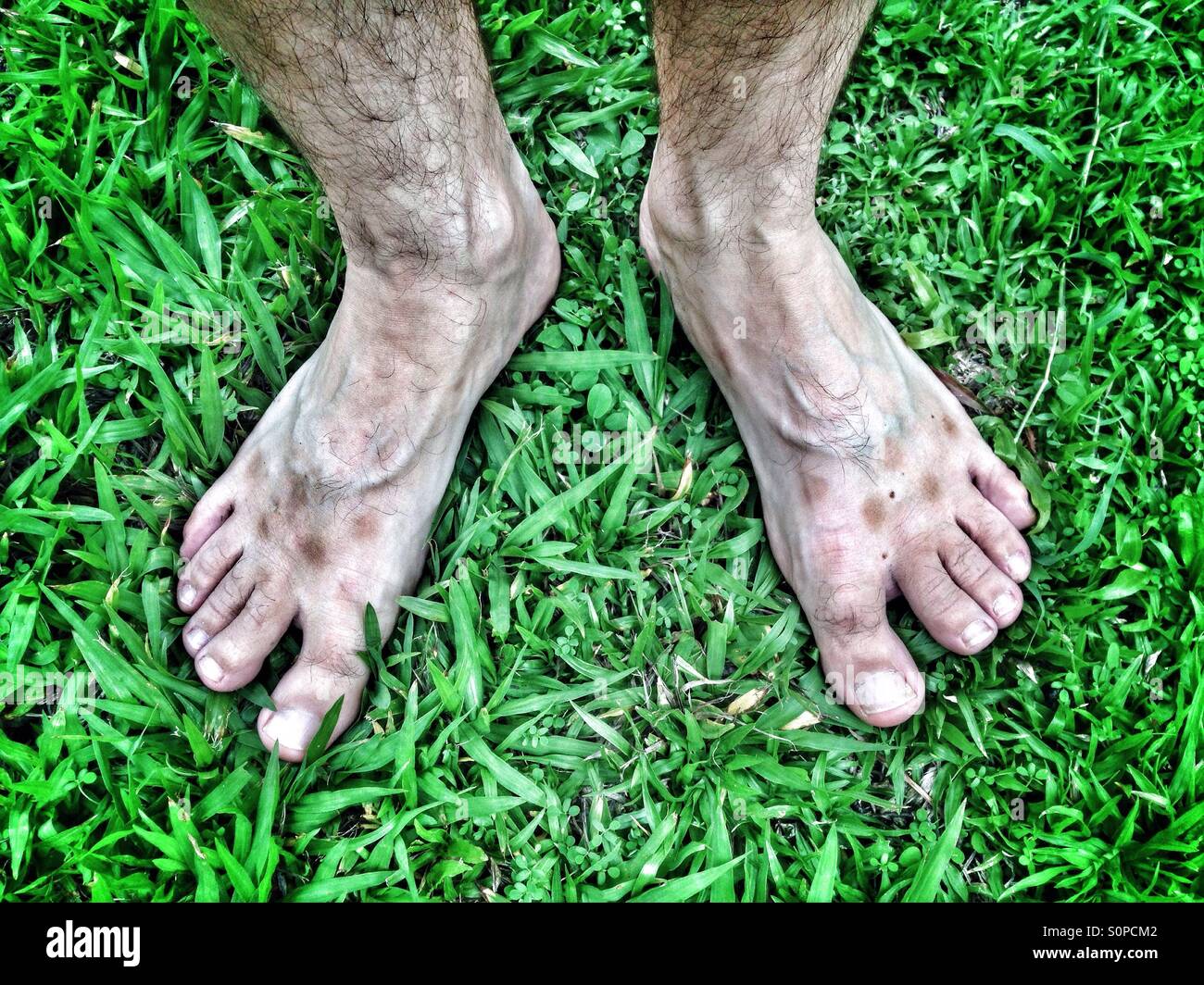 Mannes Füße auf dem Rasen. Stockfoto