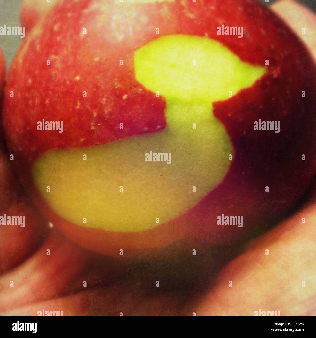 Apple mit einer Ente hinein geschnitzt Stockfoto