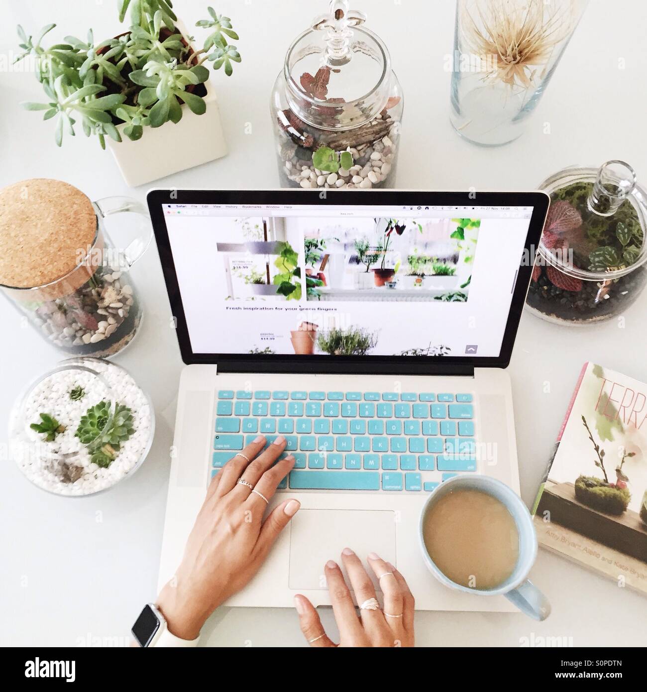 Arbeiten auf dem Mac mit einer Tasse Kaffee, umgeben von Terrarien mit Sukkulenten und andere lebende Pflanzen Stockfoto