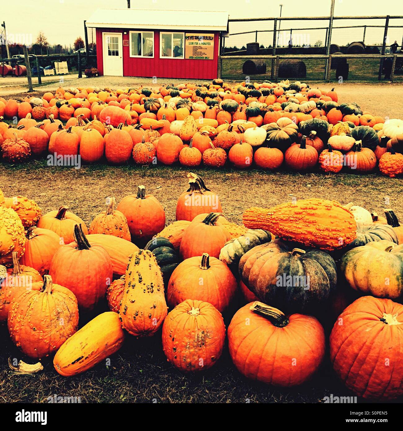 Herbst-Spaß Stockfoto