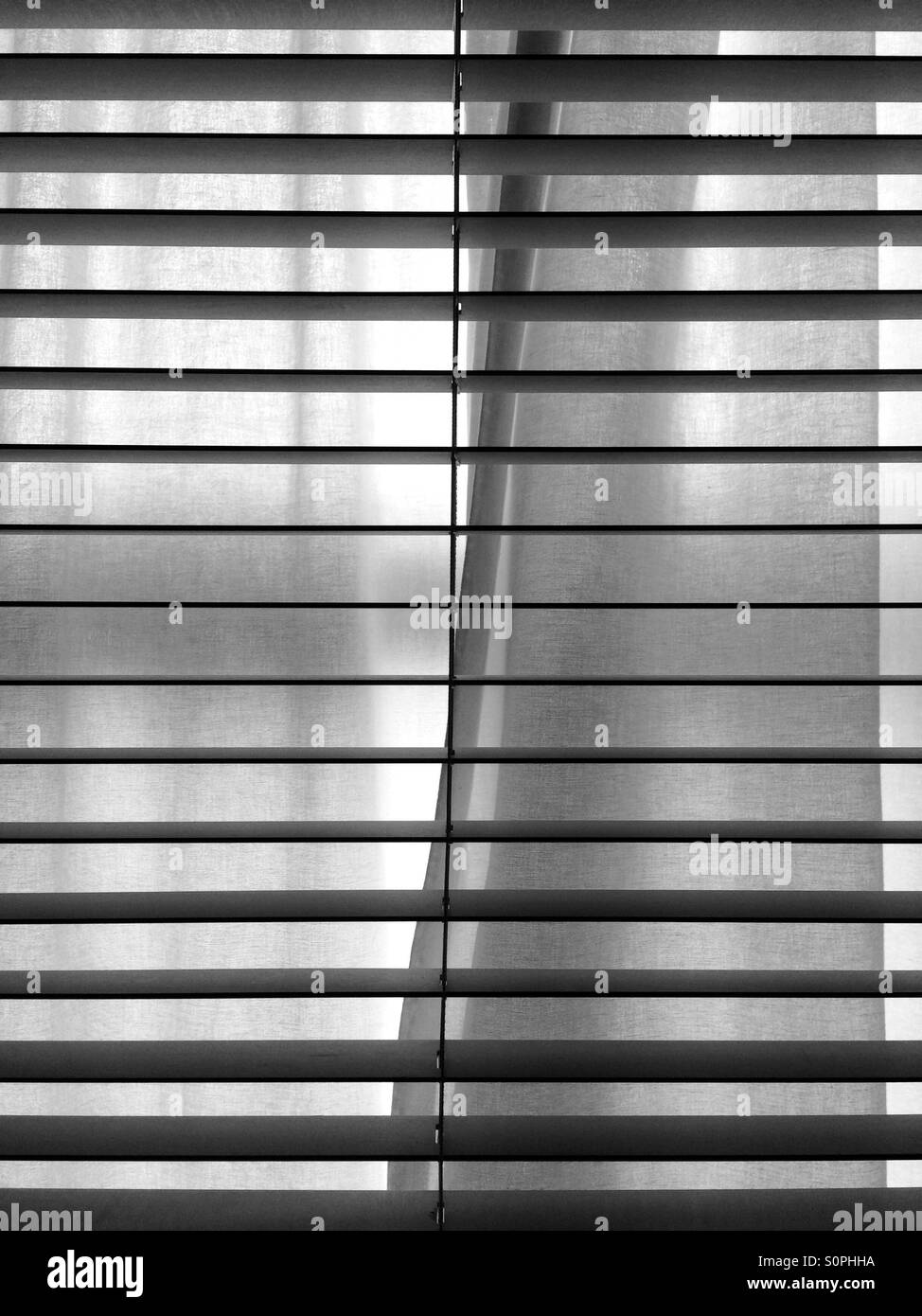 Eine venezianische blind und blass Leinen Gardinen über ein Fenster. Stockfoto