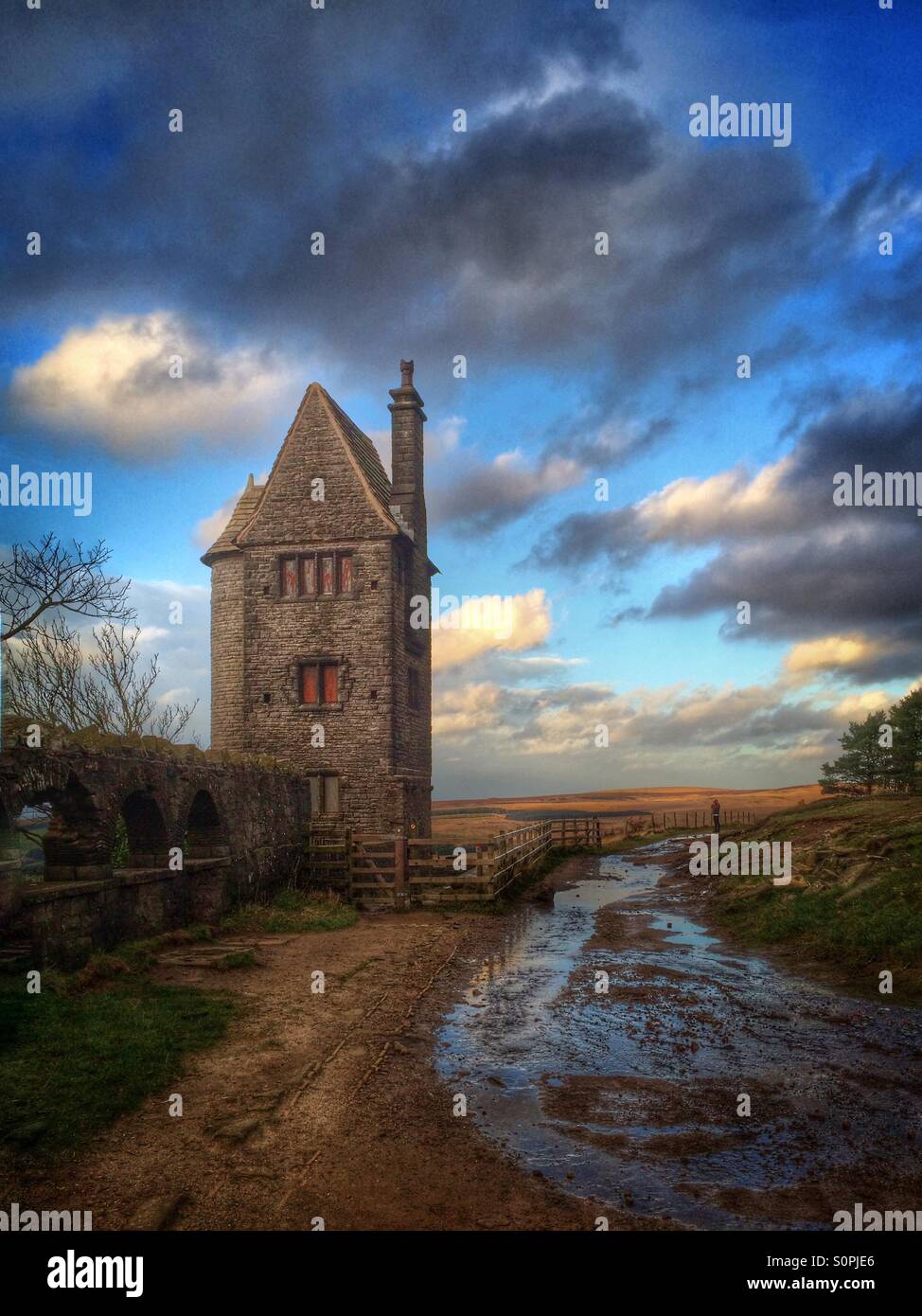 Taubenturm Stockfoto