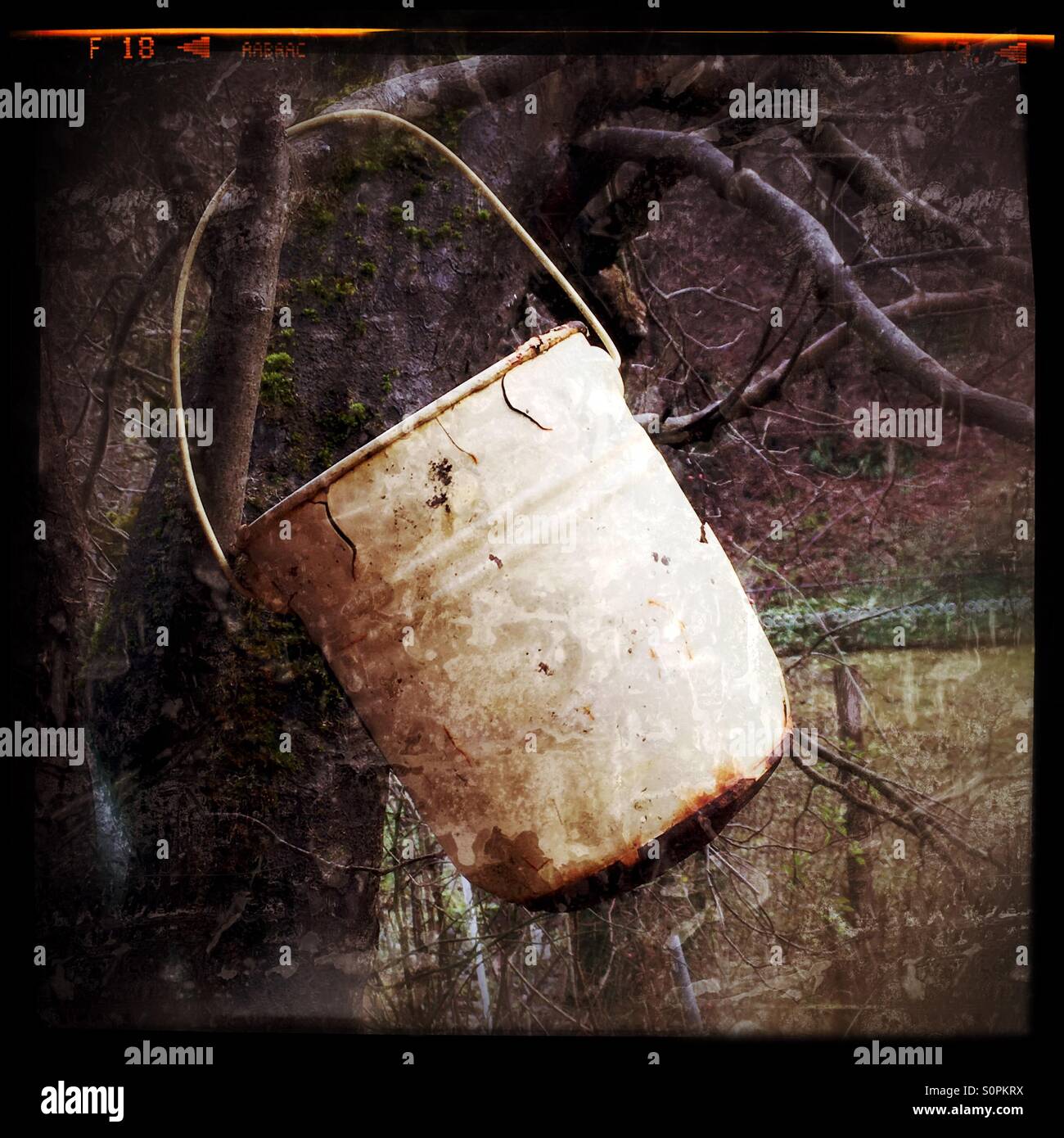 Leeren Lagerplatz auf Baum Stockfoto