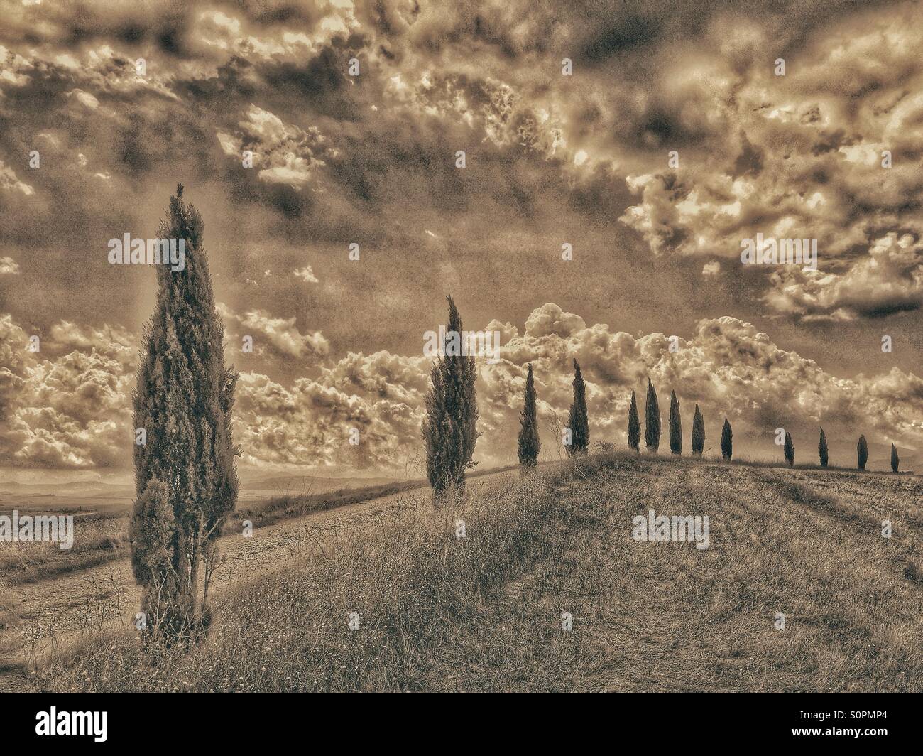 Eine klassische toskanische Landschaftsansicht - eine Reihe von Zypressen säumen den Rand von einem Feldweg in der Nähe von Pienza im Val da Orcia, Toskana, Italien. Gewitterwolken sind brauen. Bildnachweis - © COLIN HOSKINS. Stockfoto