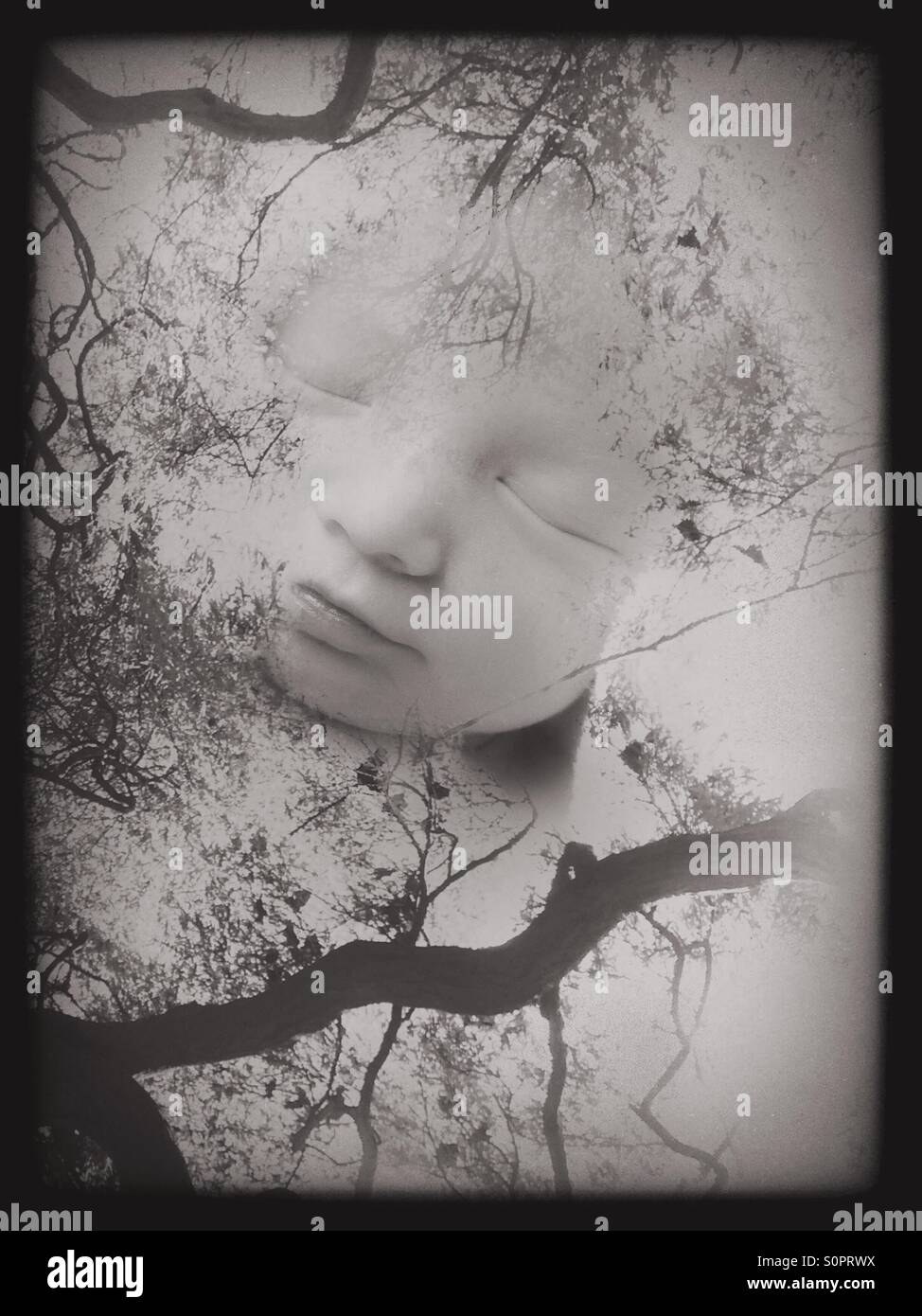 Baby und Baum - Smartphone-aufgenommenes Stockfoto