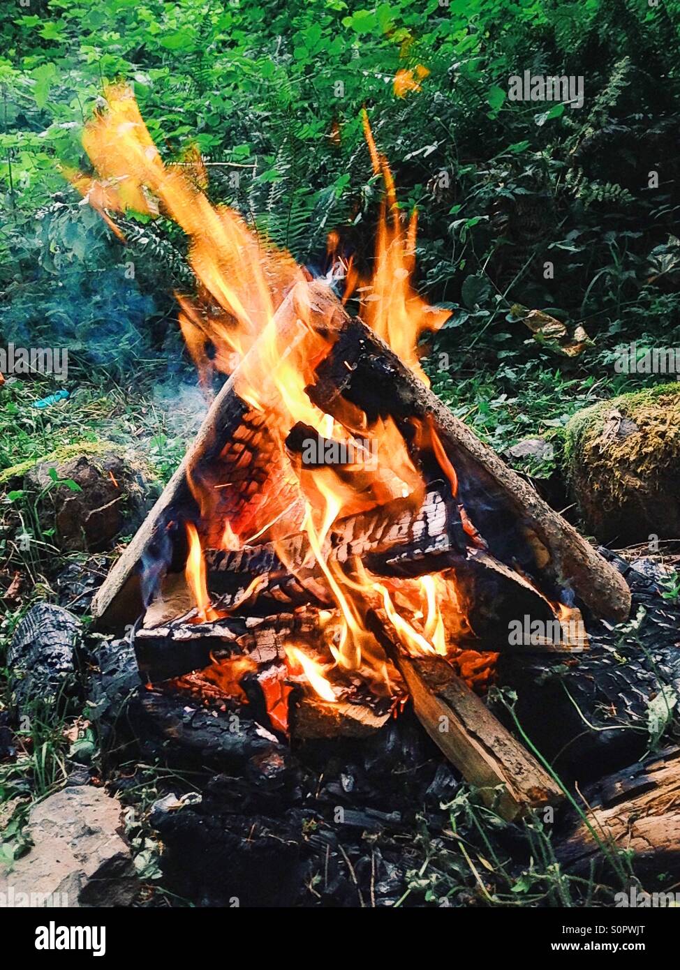 Lagerfeuer im Wald Stockfoto