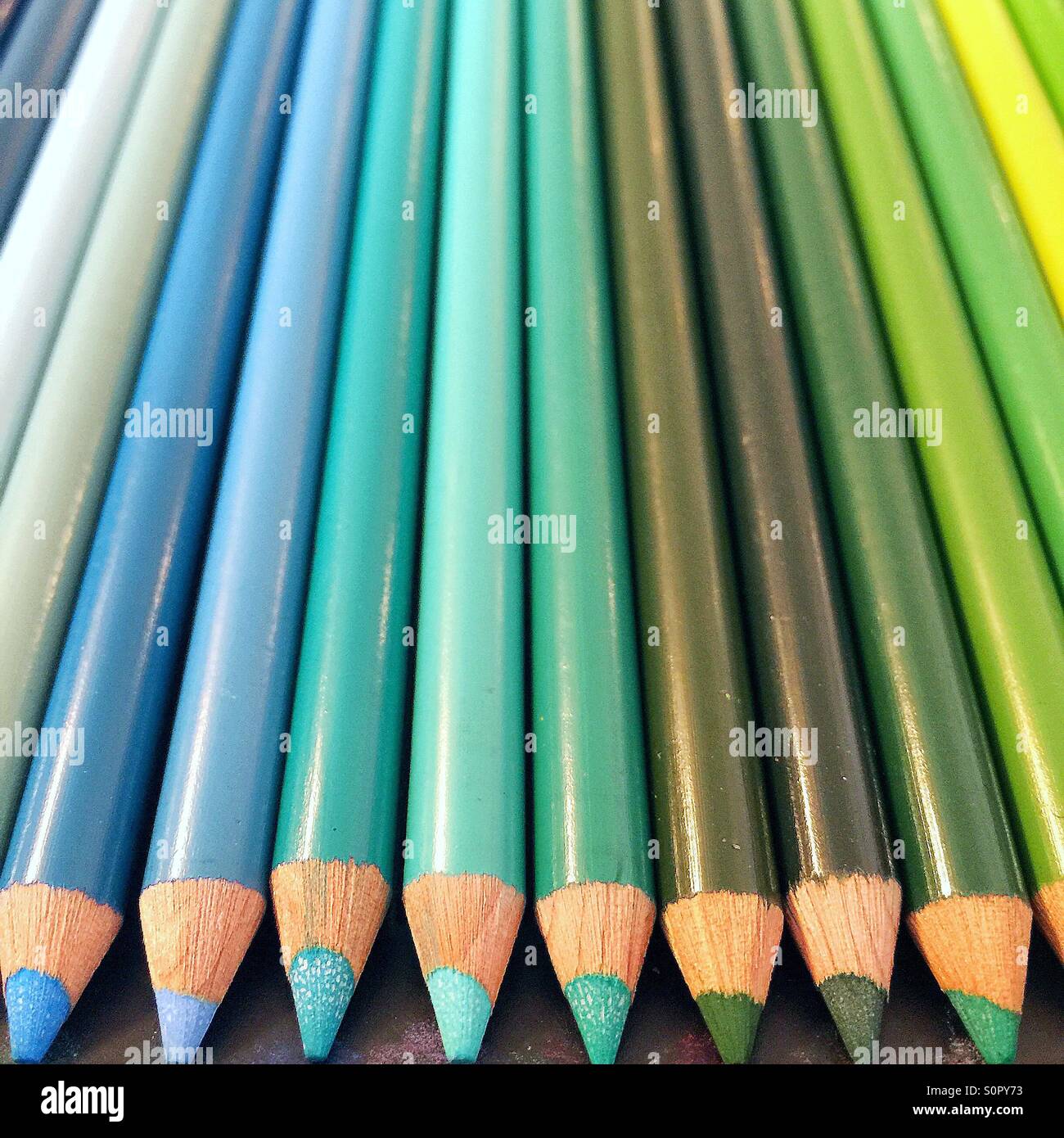 Grünen und blauen Farbstifte ausgerichtet in einer Reihe. Stockfoto