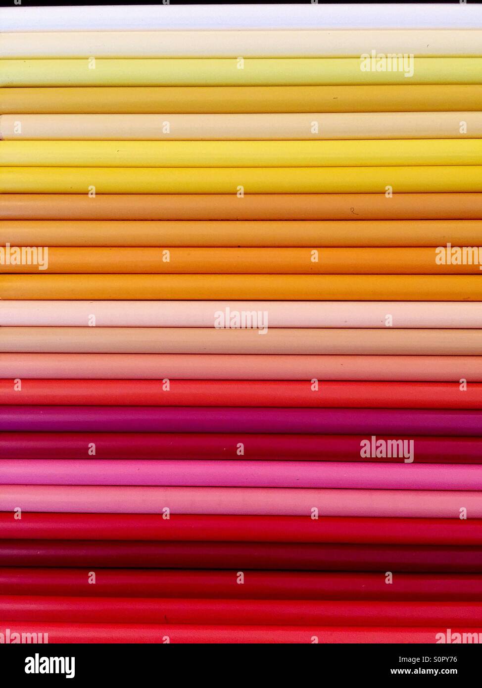 Rot, orange, rosa und gelbe Buntstifte in einer Reihe ausgerichtet - Smartphone-aufgenommenes Stockfoto