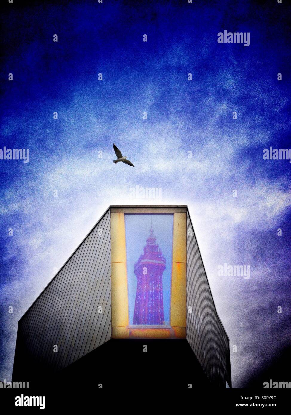 Blackpool Tower spiegelt sich im Fenster der goldene Hochzeitskapelle mit Möwen fliegen vorbei Stockfoto