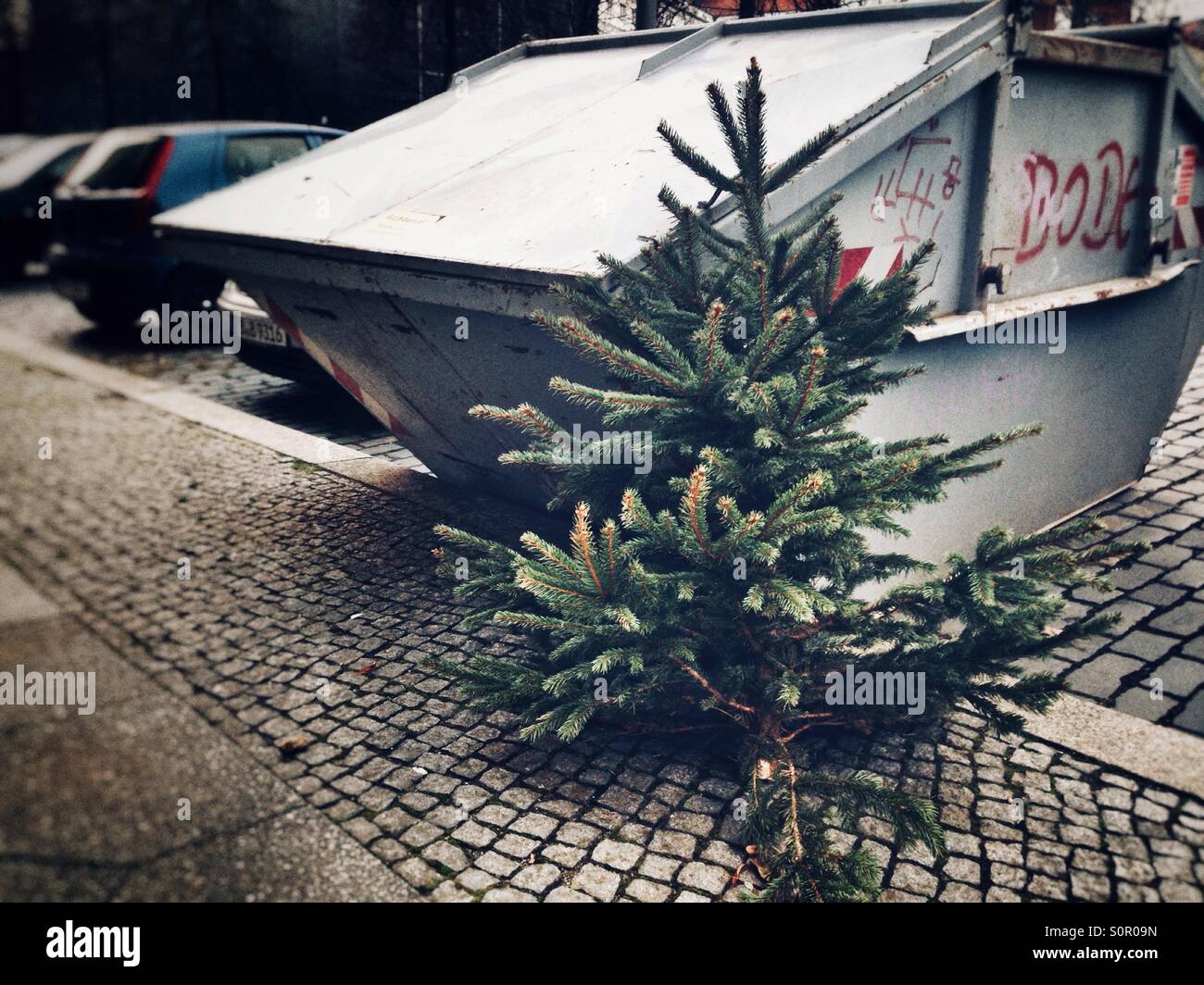 Verlassene Weihnachtsbaum auf einer Straße in Berlin, Kreuzberg - Smartphone-aufgenommenes Stockfoto