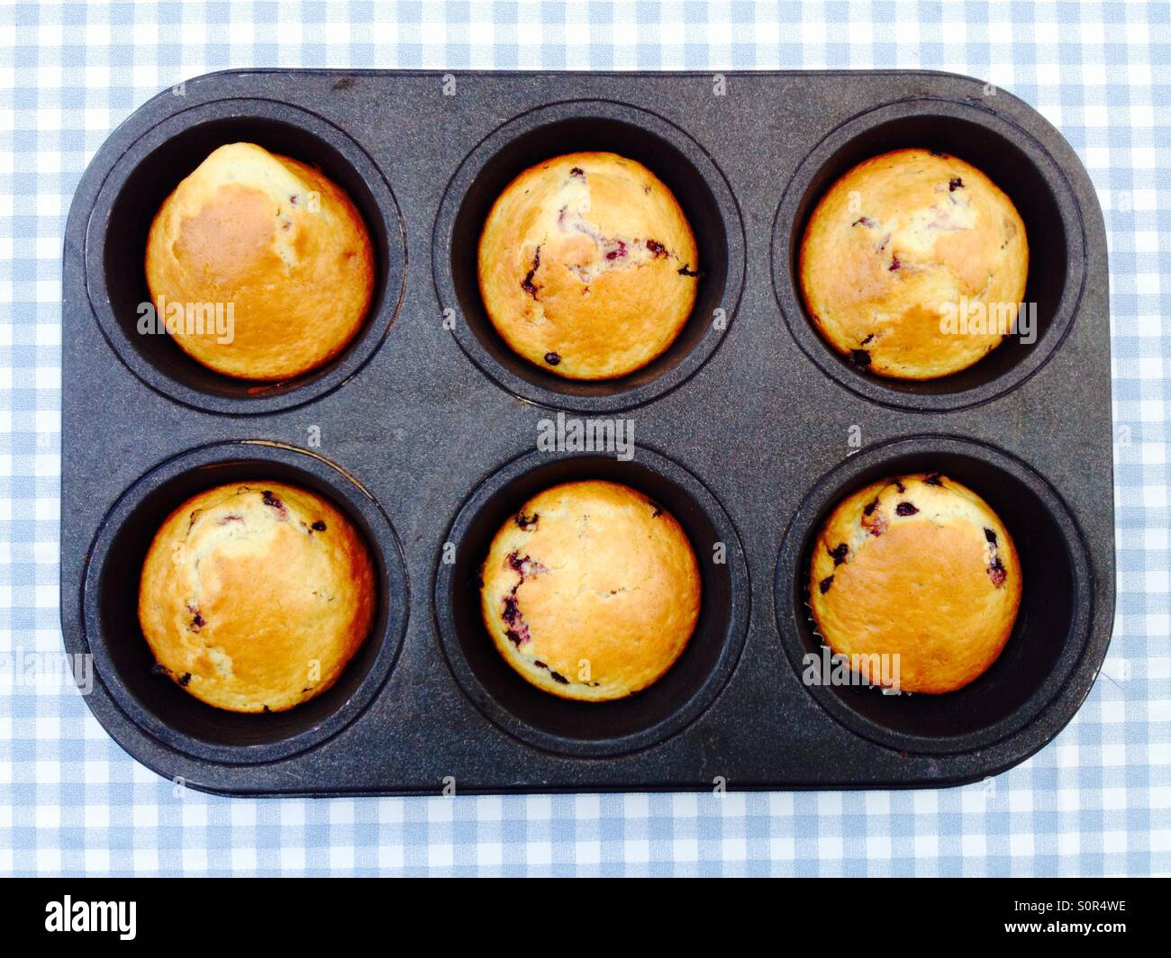Probieren Sie hausgemachte Blaubeer-Muffins Backen - Smartphone-aufgenommenes Stockfoto