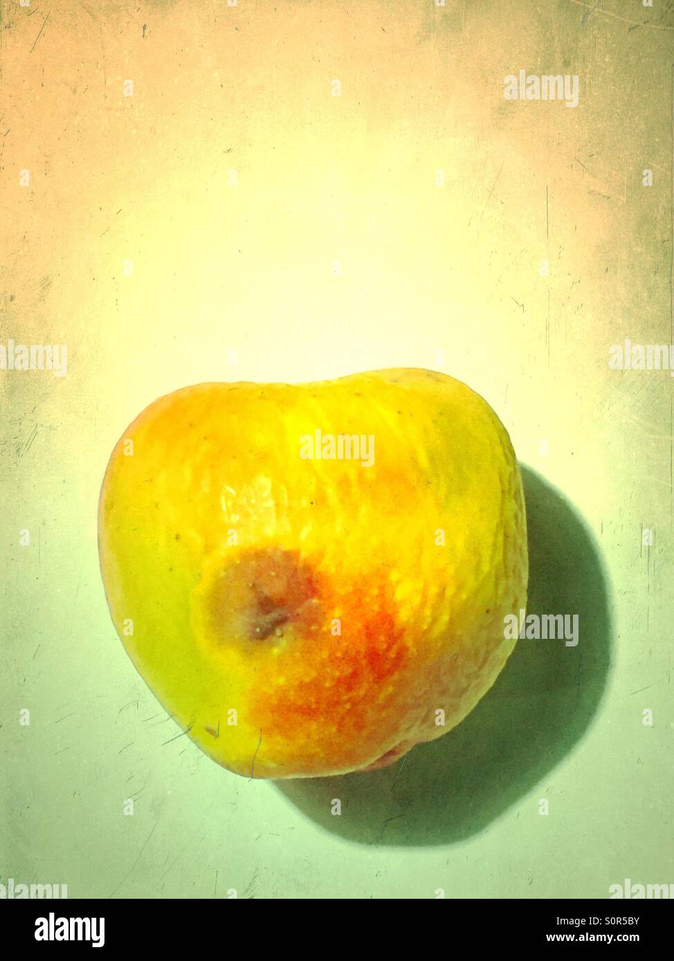 Fauler Apfel - Smartphone-aufgenommenes Stockfoto
