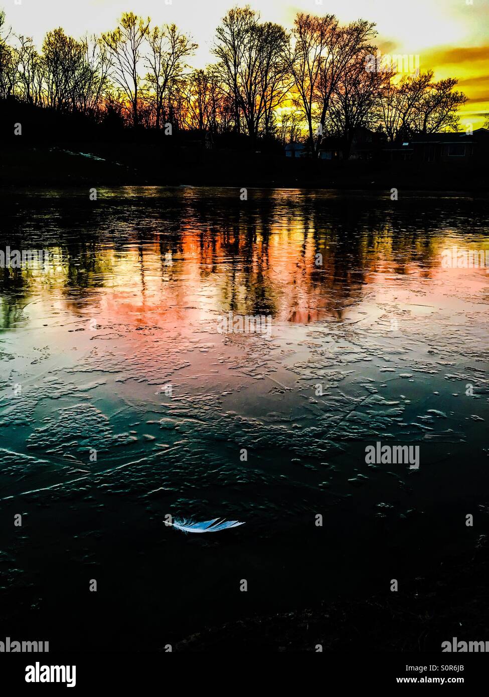 Eine weiße Feder auf einen Sonnenuntergang beleuchtet, eisigen Teich. - Smartphone-aufgenommenes Stockfoto