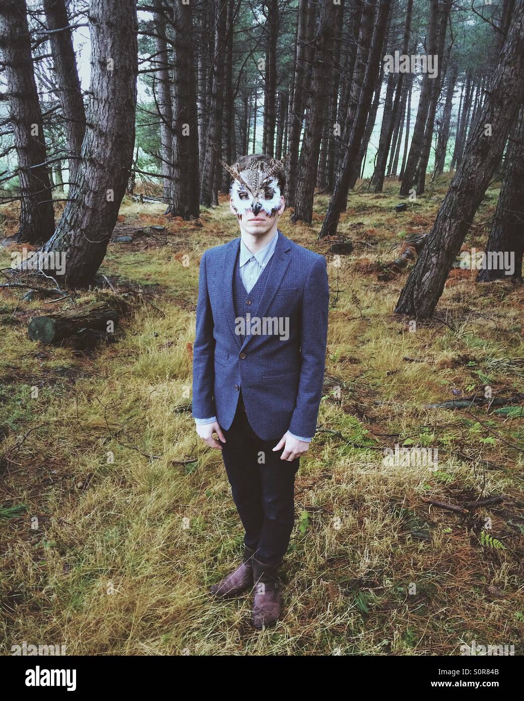Ein junger Mann mit einer Eule Maskerade Maske in einem Wald. Stockfoto