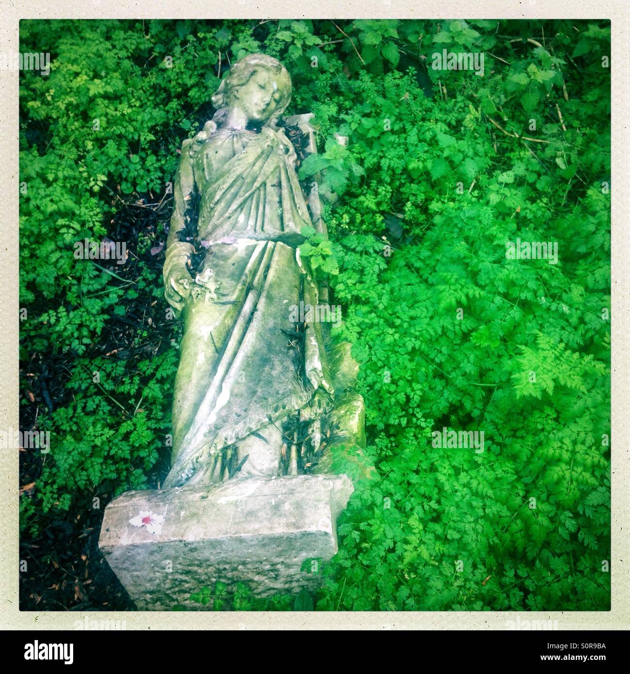 Modellistin Abney Friedhof in London UK - Smartphone-aufgenommenes Stockfoto