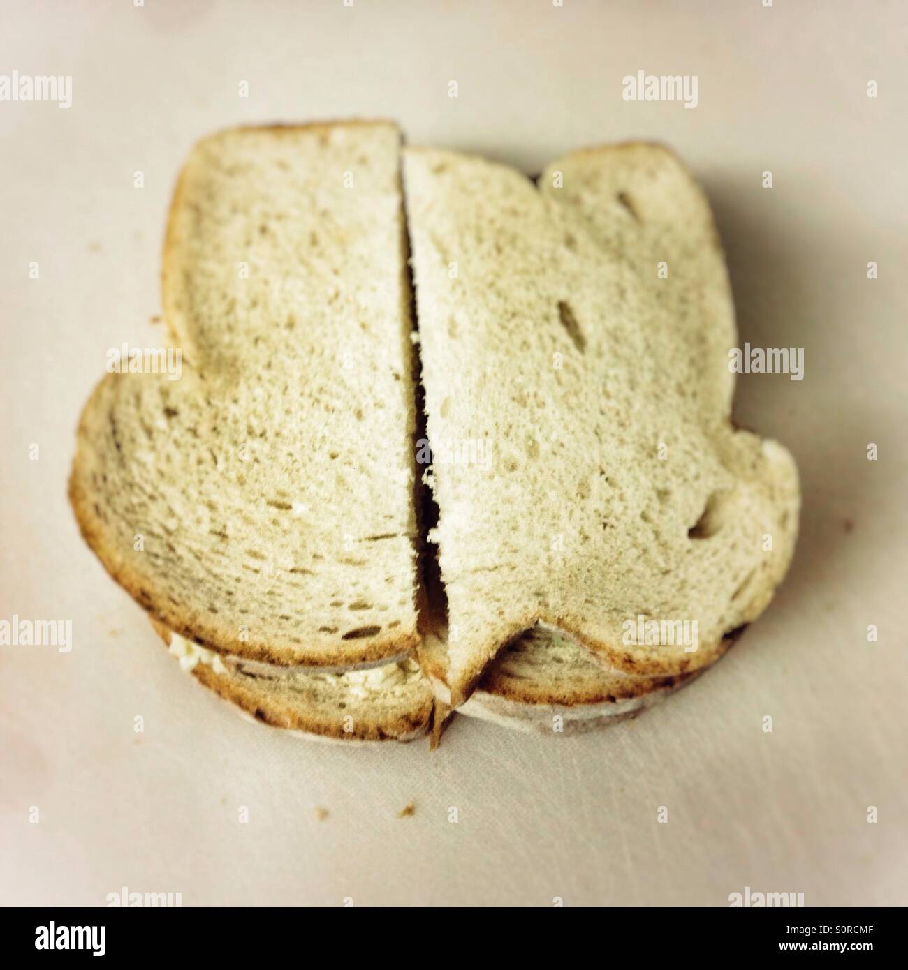 Käse-Sandwich, hausgemachten Weißbrot mit Cheddar-Käse - Smartphone-aufgenommenes Stockfoto