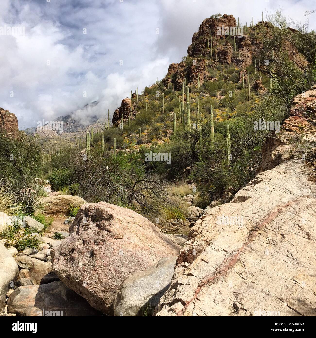 Ventana Canyon Tucson Arizona Stockfoto